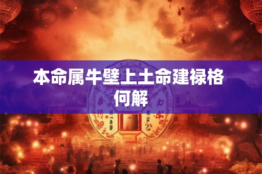 本命属牛壁上土命建禄格 何解