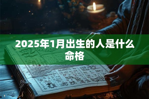 2025年1月出生的人是什么命格