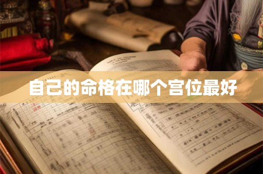 自己的命格在哪个宫位最好