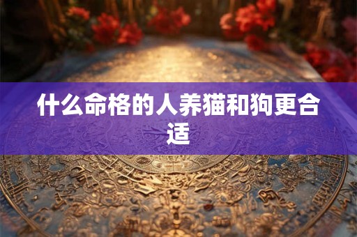 什么命格的人养猫和狗更合适 什么命格的人养猫和狗更合适