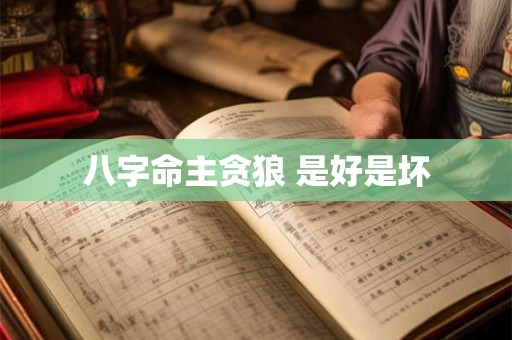 八字命主贪狼 是好是坏