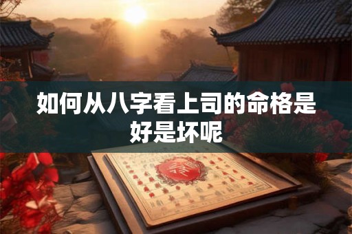 如何从八字看上司的命格是好是坏呢
