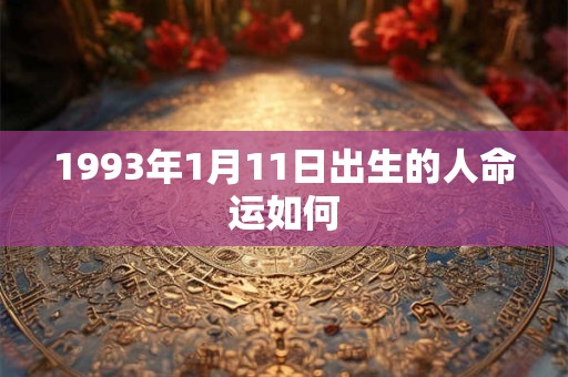 1993年1月11日出生的人命运如何