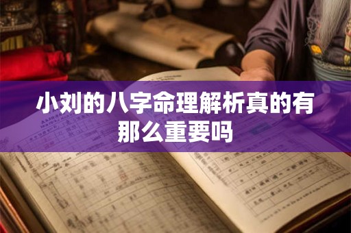 小刘的八字命理解析真的有那么重要吗