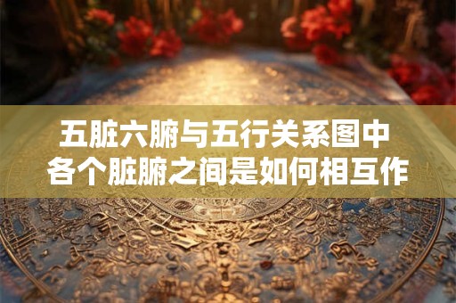 五脏六腑与五行关系图中 各个脏腑之间是如何相互作用的