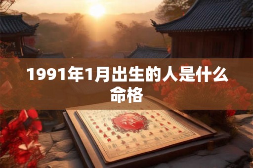 1991年1月出生的人是什么命格