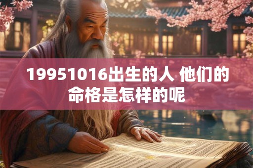 19951016出生的人 他们的命格是怎样的呢
