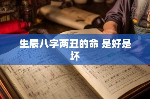 生辰八字两丑的命 是好是坏