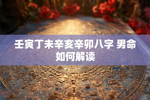 壬寅丁未辛亥辛卯八字 男命如何解读