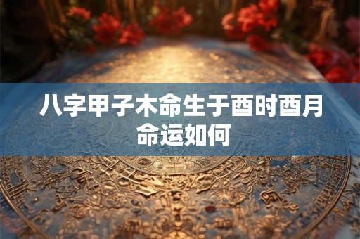 八字甲子木命生于酉时酉月 命运如何