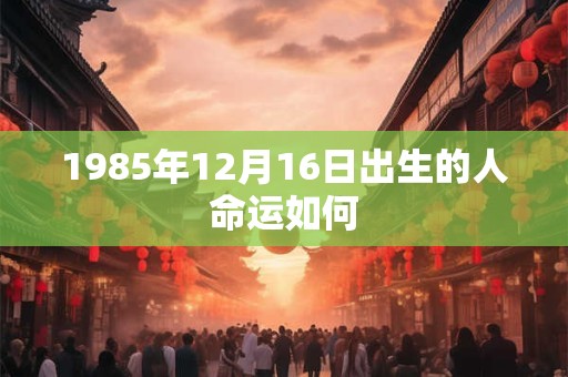 1985年12月16日出生的人命运如何