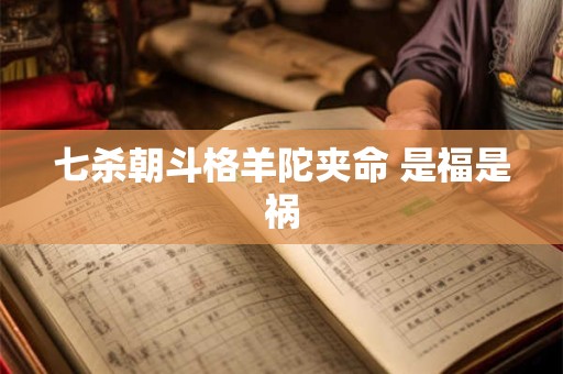 七杀朝斗格羊陀夹命 是福是祸