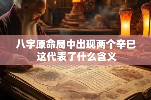 八字原命局中出现两个辛巳 这代表了什么含义