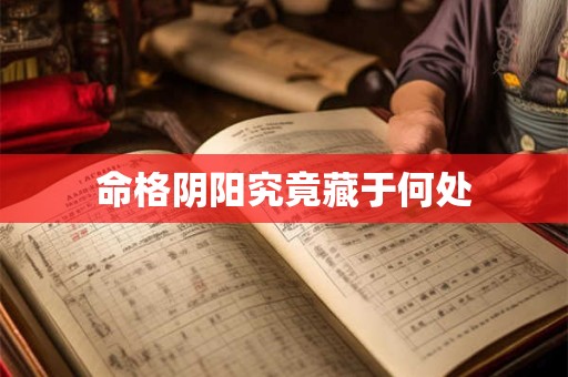 命格阴阳究竟藏于何处