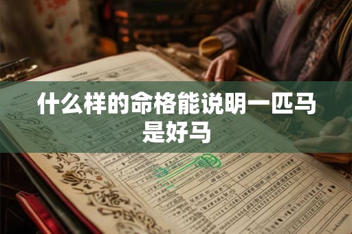 什么样的命格能说明一匹马是好马