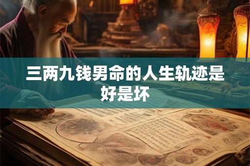 三两九钱男命的人生轨迹是好是坏