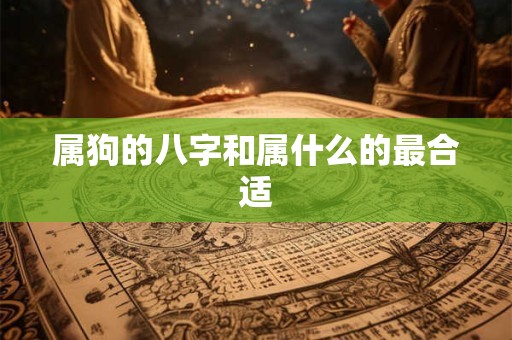 属狗的八字和属什么的最合适