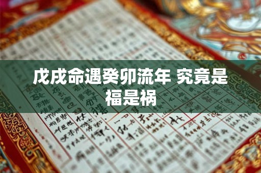 戊戌命遇癸卯流年 究竟是福是祸