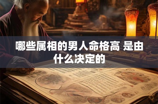哪些属相的男人命格高 是由什么决定的