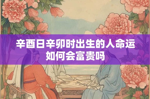 辛酉日辛卯时出生的人命运如何会富贵吗