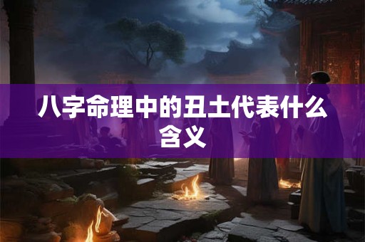 八字命理中的丑土代表什么含义