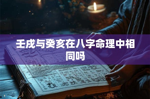 壬戌与癸亥在八字命理中相同吗