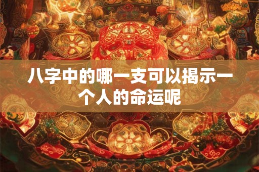 八字中的哪一支可以揭示一个人的命运呢