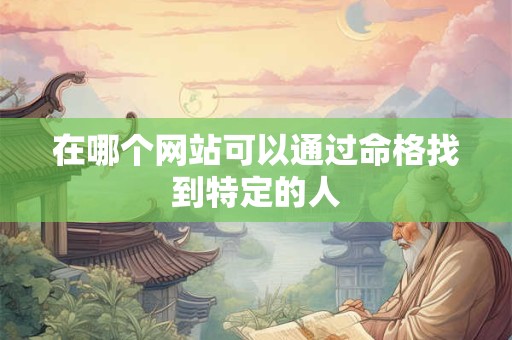 在哪个网站可以通过命格找到特定的人