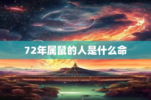 72年属鼠的人是什么命
