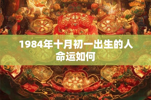 1984年十月初一出生的人命运如何