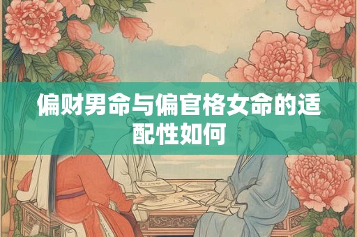 偏财男命与偏官格女命的适配性如何