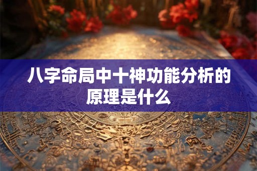 八字命局中十神功能分析的原理是什么