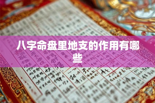 八字命盘里地支的作用有哪些