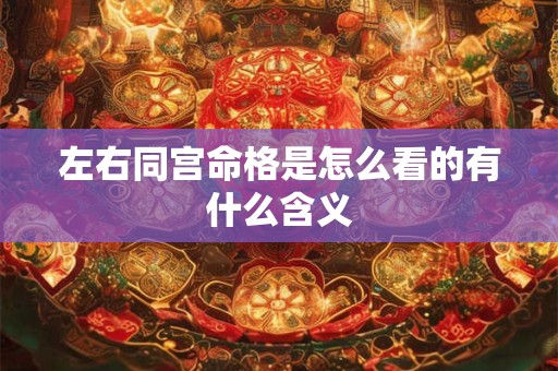 左右同宫命格是怎么看的有什么含义