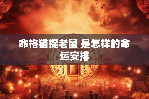 命格猫捉老鼠 是怎样的命运安排