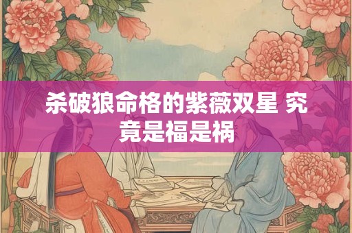 杀破狼命格的紫薇双星 究竟是福是祸