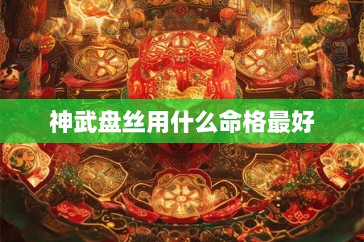 神武盘丝用什么命格最好