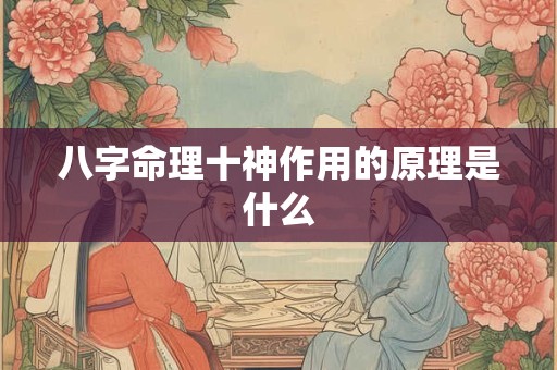 八字命理十神作用的原理是什么