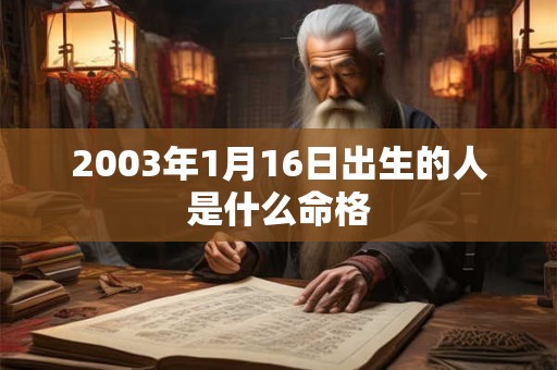 2003年1月16日出生的人是什么命格