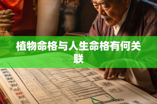 植物命格与人生命格有何关联
