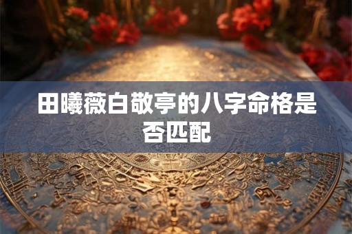 田曦薇白敬亭的八字命格是否匹配