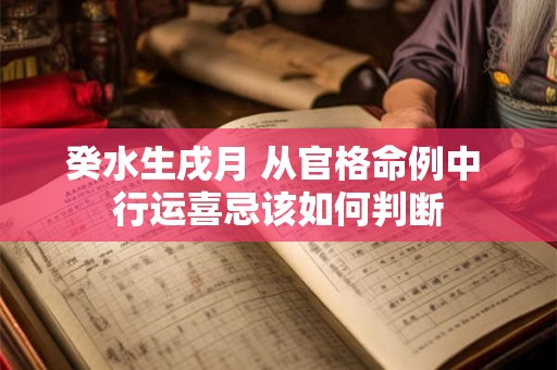 癸水生戌月 从官格命例中 行运喜忌该如何判断