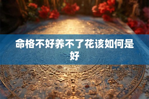 命格不好养不了花该如何是好