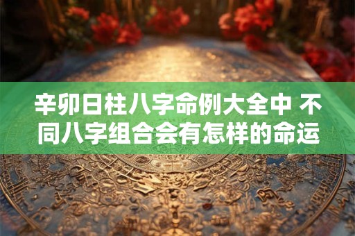 辛卯日柱八字命例大全中 不同八字组合会有怎样的命运