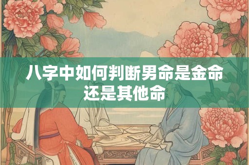 八字中如何判断男命是金命还是其他命