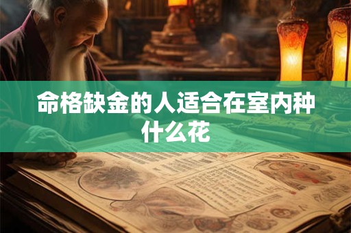 命格缺金的人适合在室内种什么花