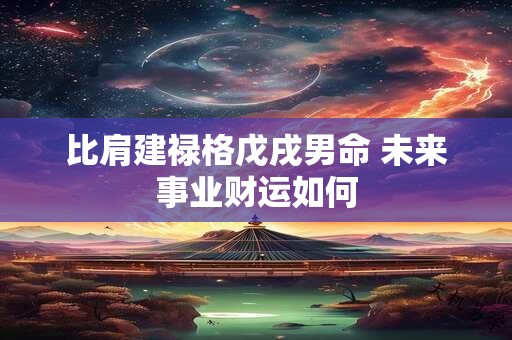 比肩建禄格戊戌男命 未来事业财运如何