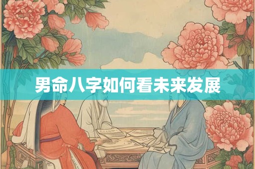 男命八字如何看未来发展