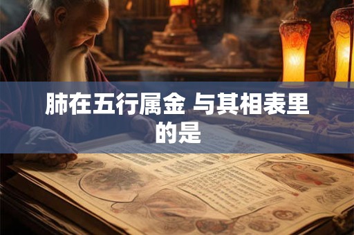 肺在五行属金 与其相表里的是