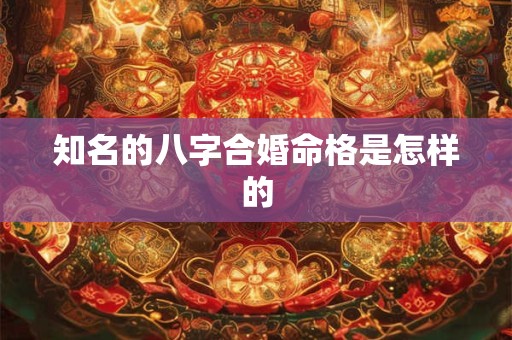 知名的八字合婚命格是怎样的